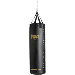 everlast powercore heavy bag