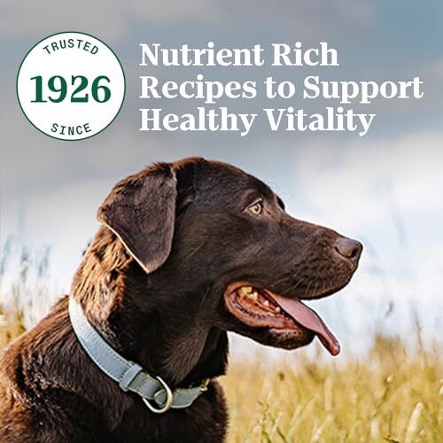 Nutro Natural Choice Adult Healthy Weight Dry Dog Food Chicken 30 lb - Picture 11 of 15
