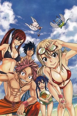 Fairy Tail Hot Anime GLOSSY Poster print 16''x24'' HOME DECOR