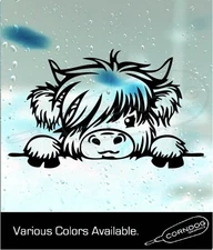 Highland Cow Peeking VINYL STICKER DECAL  CUTE COO SCOTTISH HIGHLANDS SCOTLAND