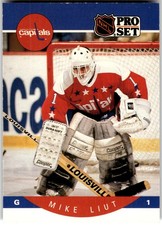 1990-91 Pro Set #316 Mike Liut Washington Capitals NHL Hockey
