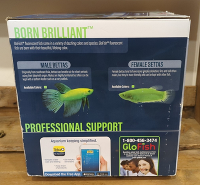 betta fish jewelry box Beta Design Travel Engraved Boxes Stock Show Gear Upgrade your fish tank with the Aqueon Betta Bowl Aquarium Kit in Blue. GloFish Betta Aquarium Kit 3