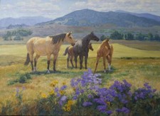 Ceramic Backsplash Tile Mural Horse Animal Equine Kitchen/Bathroom - Late Summer