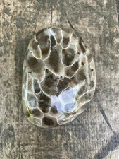 4oz Beautiful Full Polished Petoskey Stone Fossil Lake Michigan Coral Dark Eye