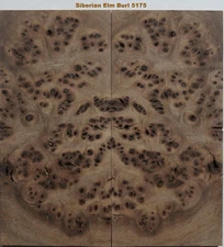 Outstanding Stabilized Siberian Elm Lace Burl scales 5175, 5 7/16 x 2 9/16 x 1/2