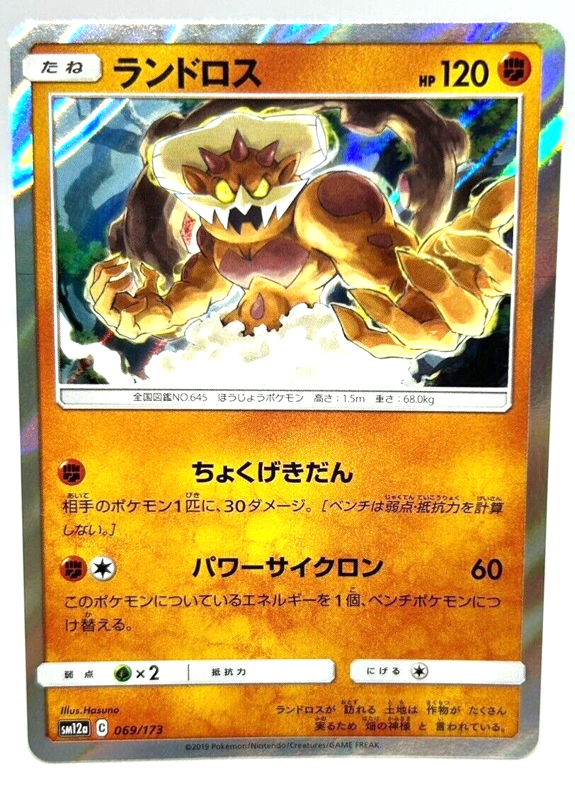 Pokemon Card TCG ”Landorus” 069/173 Holo Nintendo 2019 ランドロス