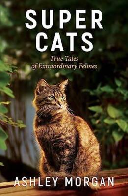 Super Cats: True Tales of Extraodinary Felines - Paperback - GOOD