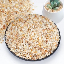 Coarse Sand for Plants, 6lb Horticultural Sand for Succulents and Cacti