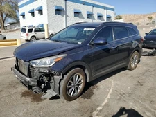 Driver Left Front Door LWB Fits 13-19 SANTA FE 2458261