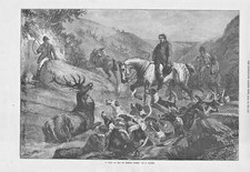 1877 large original antique print titled : stag at bay on exmoor forest