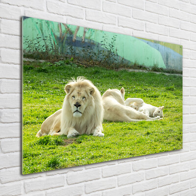 Wandbild aus Plexiglas  Druck auf Acryl 100x70 Tiere Beige Löwen