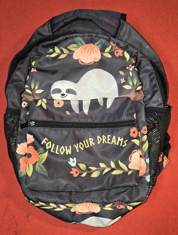🌟 FOLLOW YOUR DREAMS Kids Sloth Backpack/Computer Bag