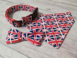 union jack cat collar