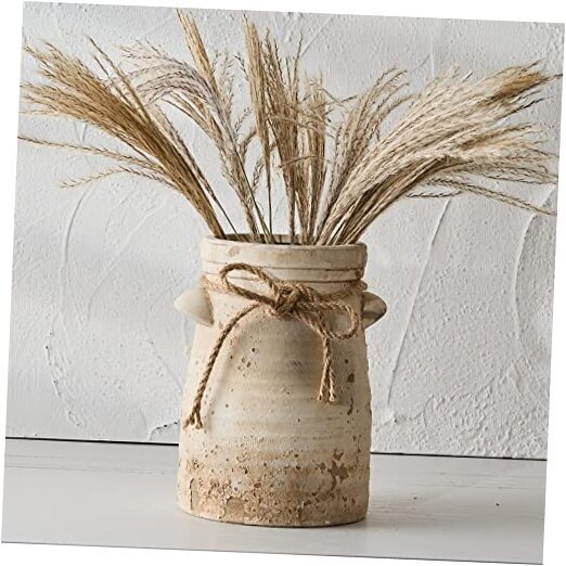 Ceramic Decorative Flower Vase, 8 Inch Rustic Distressed Jo-gs17323l-beige