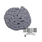 420898042 CAMSHAFT CHAIN