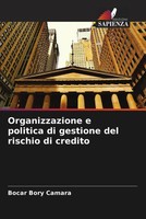 Bocar Bory Camara | Organizzazione E Politica Di Gestione Del Rischio Di Credito