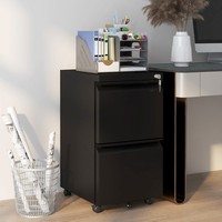 2-Drawer Filing Cabinet w/ Adjustable Hanging Bar Lockable File Cabinet Black