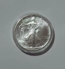 1995 $1 American Eagle .999 1 oz Silver Dollar Coin Walking Liberty Ungraded