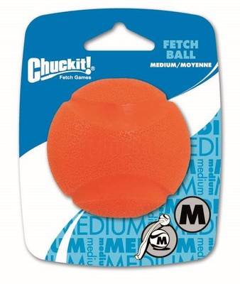Chuckit! Fetch Ball M Hundespielzeug Hundeball 