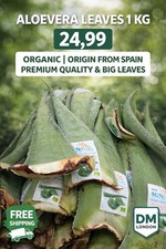 🌿 ORGANIC Aloe Vera Leaves 1KG – Premium Quality Big