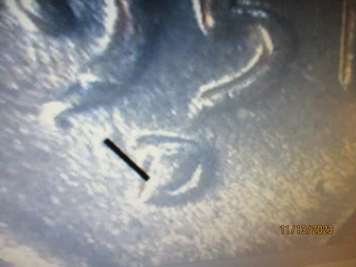1951-D Lincoln Wheat Cent — photo from the most recent tracked eBay sale