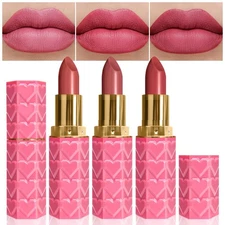 evpct 3Pcs Nude Pink Beige Rose Mauve Matte Lipstick Pack Sets for Women Silk...