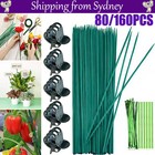 <!--F#f_0-->80/160PCS Orchid Supporting Plant Fixed Stake Clip Set Grow Upright Plant Stake <!--F/-->