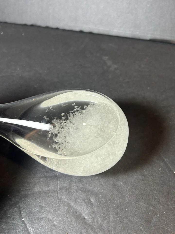 Predictor de botellas de lágrima para estación meteorológica Storm Glass Foto 2 de 4