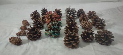 Pine Cones Lot of 24 Unknown tree origin Multi Sizes  Decorative Craft Scented
