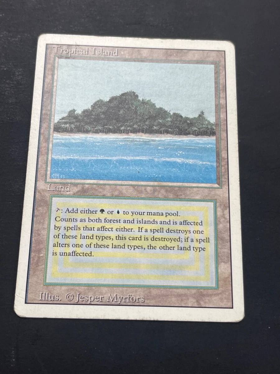 Heavily Played (Poor) Land Magic: The Gathering Trading Card Games