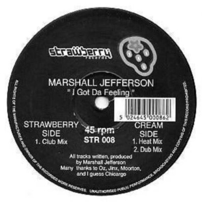 LP Marshall Jefferson - I Got Da Feeling Vinyl Record