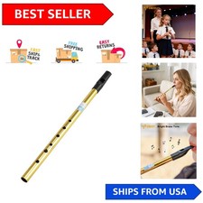 Compact Brass Tin Whistle Key of D with Protective Case - Perfect Music Gift