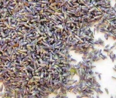 Culinary Lavender - Always from the latest harvest!