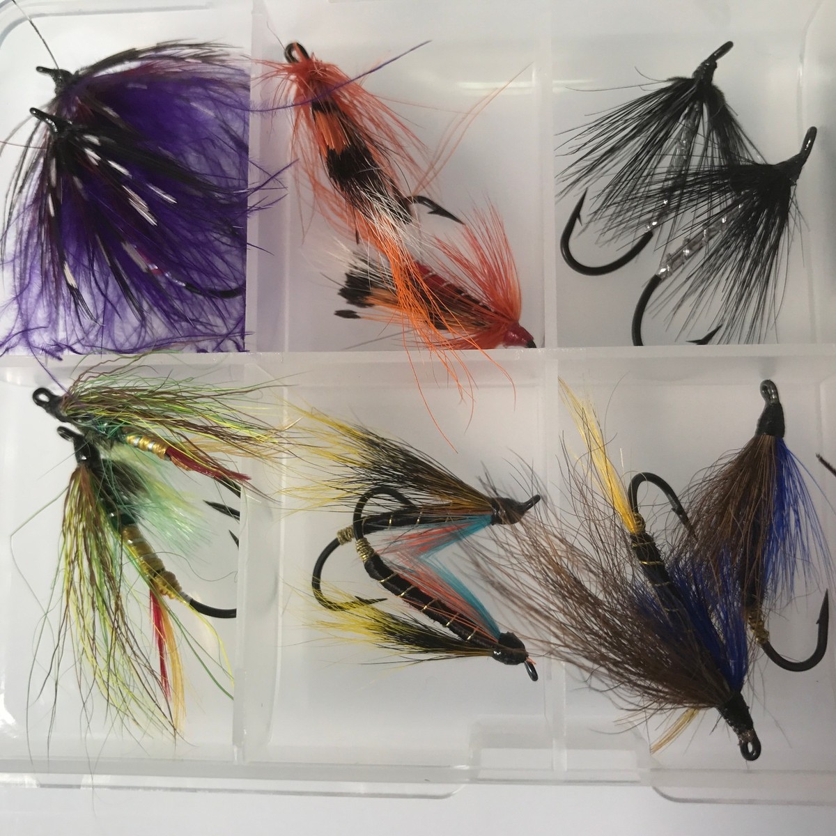 Esperienza Di Pesca Di 8 Ore Al Salmone Dell'Alaska 2026 - Anchorage - Foto 11