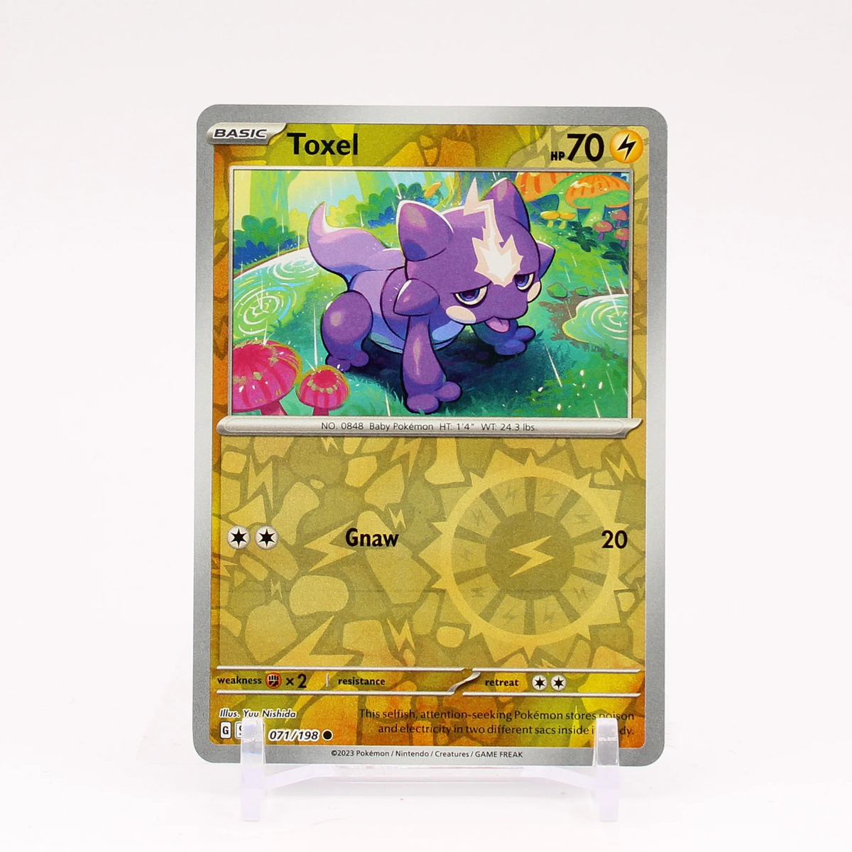 Toxel (sv3-71) - Pokémon Card Database - PokemonCard