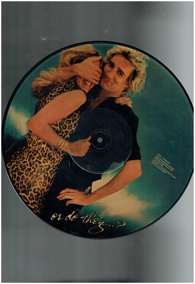 ROD STEWART BLONDES HAVE MORE FUN VINYL  ALBUM PICTURE DISC 1978 - Image 2 of 2