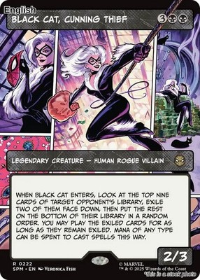 Black Cat, Cunning Thief (Borderless) NM [SPM - 222]
