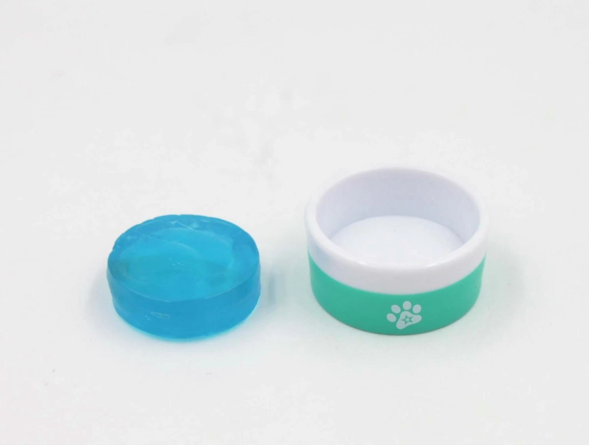 Girl dog bowl cheap