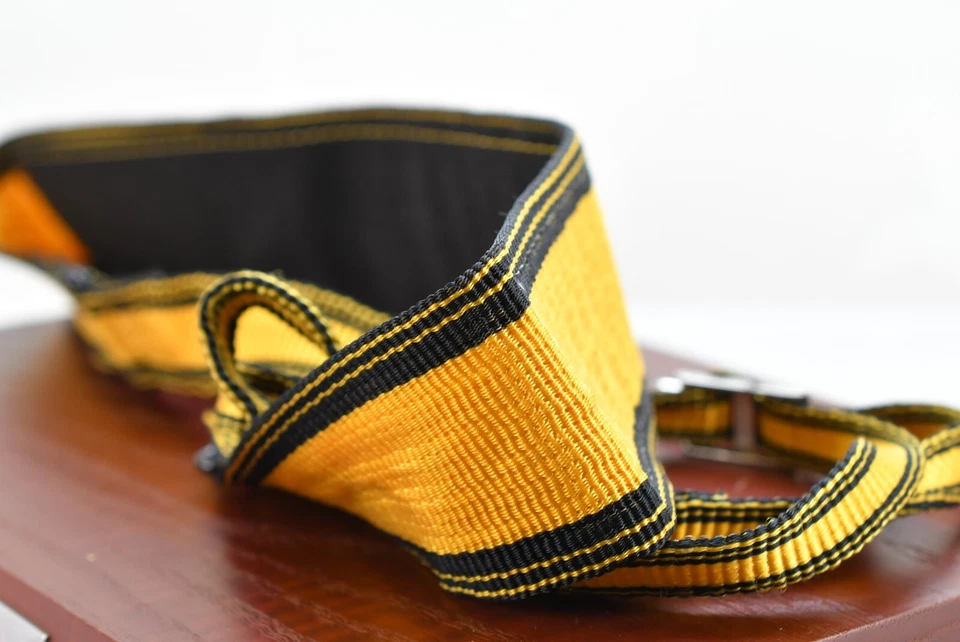 🌸[Excelente COMO NUEVA] Correa ancha para el cuello de nailon Nikon AN-6Y hebilla de metal de 1,77 pulgadas para F3 JAPÓN Foto 3 de 4