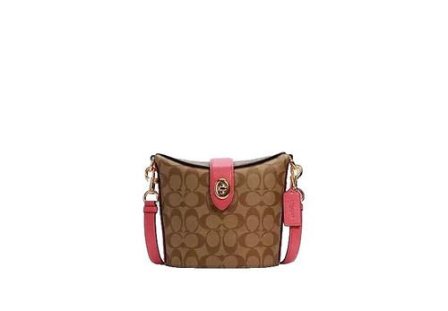 ☆ショルダーバッグ☆ドリーマー21　新品　バタフライ　COACH NWT Coach Dreamer 21 Handbag with butterfly motif Print 69627 Gold