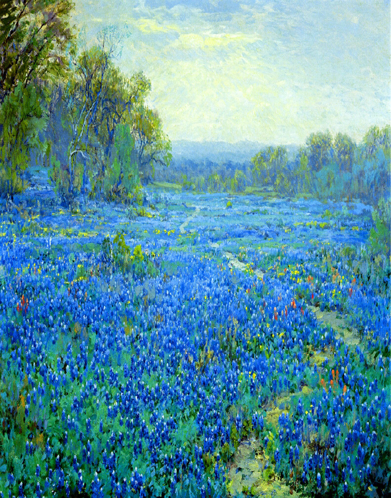 Julian Onderdonk Bluebonnet Scene Canvas Print 16 x 20 | eBay