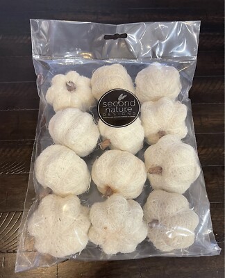 Mini Pumpkins Floss Textured Off White By Second Nature Halloween