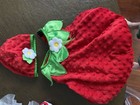Candy Corn Lane Halloween Infant Strawberry Costume 3-6 Months Red Green Hat — photo 2