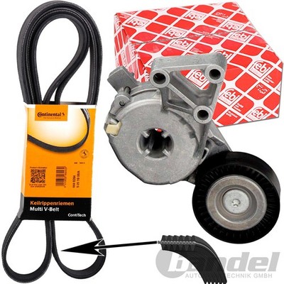 CONTI RIPPENRIEMEN + FEBI SPANNER für AUDI A3 TT VW GOLF 4 BORA SHARAN 1.6 - 2.0