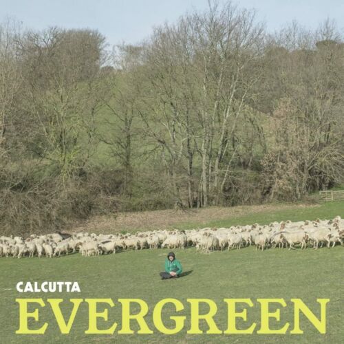 CALCUTTA – EVERGREEN – CD - Afbeelding 1 van 2