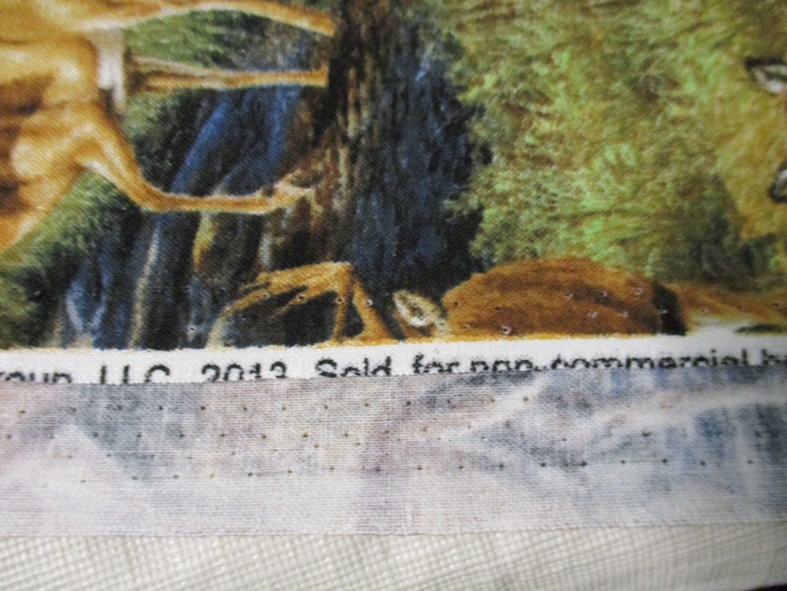 Bild 4 von 4