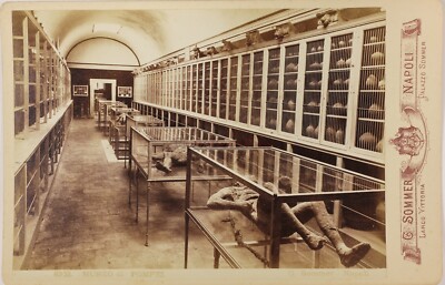 Pompeii Museum Italy Photo Sommer PL17c2n14 Vintage Albumin Cabinet Card