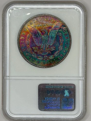 1884 O Morgan dollar NGC MS63. Monster toned reverse with a touch of textile!