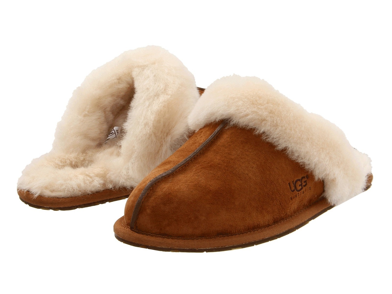 ugg scuffette slippers