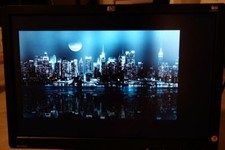 HP L1908W Silver 19" WideScreen Computer Display Monitor 1440 x 900 Resolution